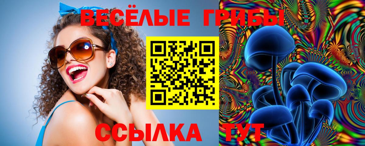 Галлюциногенные грибы Cubensis Благовещенск