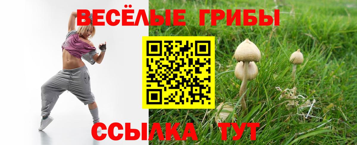 Благовещенск  Псилоцибиновые грибы мухоморы  Галлюциногенные грибы прущие грибы  Вход с VPN 
